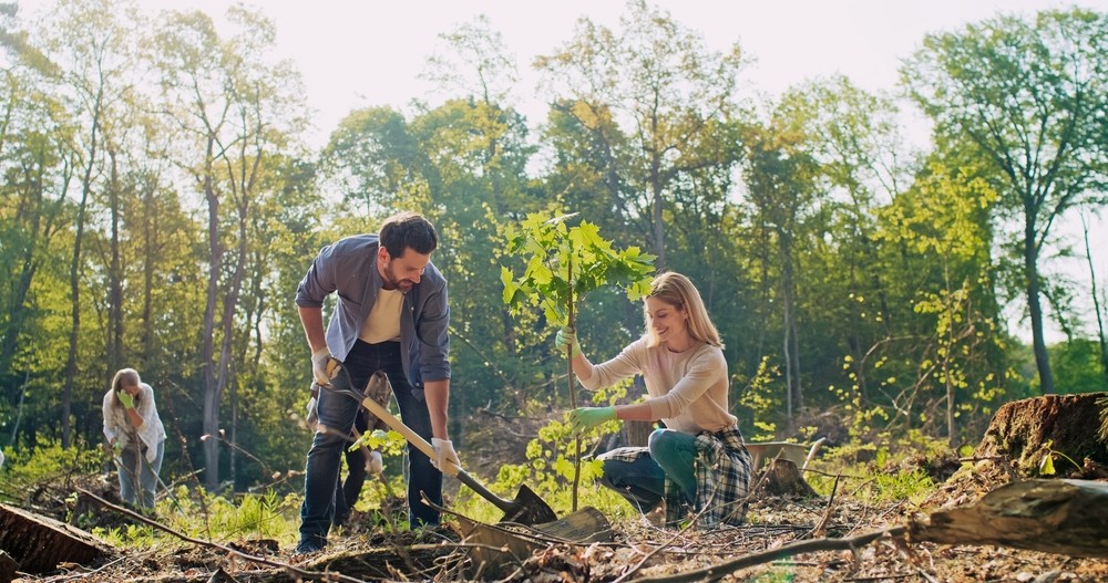 Improving Social Value for SMEs in the Tees Valley